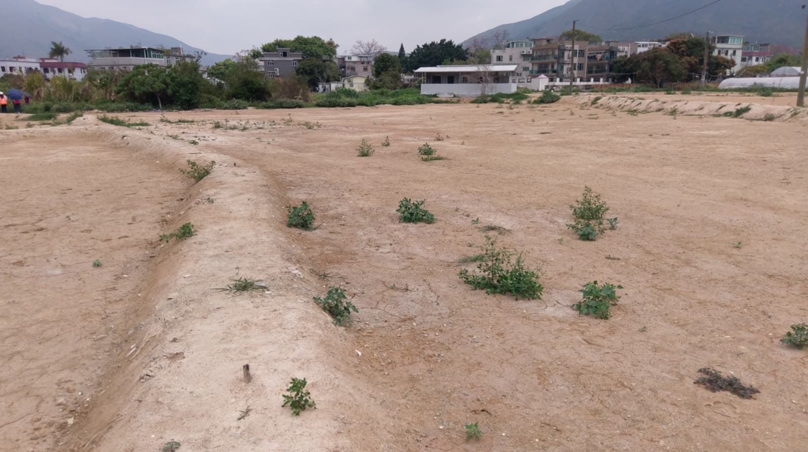 元朗八鄉錦上路吉地